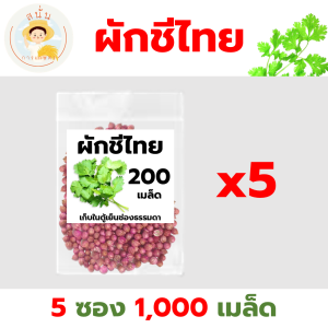 เมล็ดพันธุ์ ผักชีไทย ผักหอมป้อม เมล็ดใหม่ งอกไว เมล็ดผักชี สีแดงอมชมพู มีกลิ่นหอม (1 ซอง 200 เมล็ด)