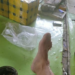 BOLA VOLI EMPUK NASSAU/BOLA VOLI JAHIT MESIN/BOLA VOLI BERKUALITAS/BOLA VOLI SIZE5/BOLA VOLI DEWASA/BOLA VOLI TERMURAH/BOLA VOLI BAHAN EMPUK/BOLA VOLI ELEGAN