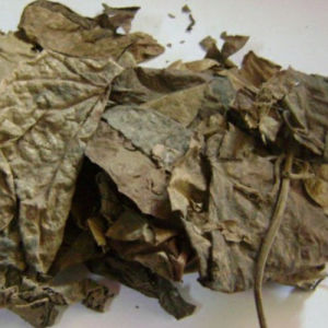 MURAH DAUN WARU LANDAK KERING 1 KG