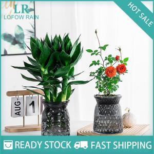 LF Wholesale✨Flash Sale ✨ กระถางต้นไม้พลาสติกใสรดน้ำด้วยตัวเองขนาดเล็กสำหรับตกแต่งบ้าน