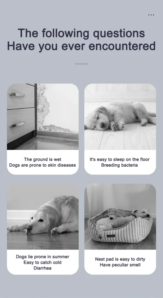 PETCARE Elevated Dog Bed for Large Dogs Waterproof Cooling