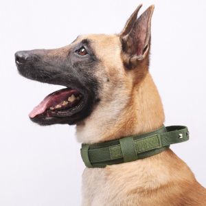 ER52858 หัวเข็มขัดโลหะ ปลอกคอฝึกสุนัข ปรับได้ ระบายอากาศได้ สายจูงปลอกคอสัตว์เลี้ยง ทนทาน งานหนัก ปลอกคอสุนัข กลางแจ้ง