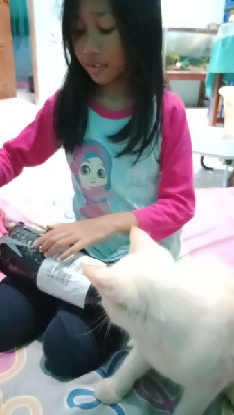 Buyer review video 2