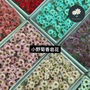 (5 Pcs Per Set) 3 Flower Head Per Pcs of Wild Chrysanthemum Soap Flower 小野菊香皂花 一支3个花头 Bunga Sabun