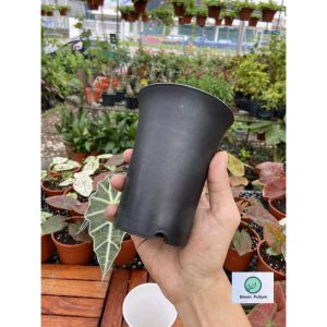 【BIG】Round Thick Tall Plastic Pots  succulent pot cactus flower pot 圆形 万象盆 花盆万象盆 多肉花盆 植物花盆 花盆 塑料盆 盆 小花盆 彩色花盆