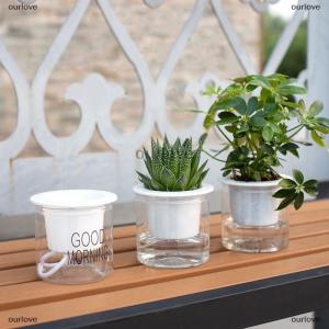 [COD] ourlove Lazy Hydroponic Flower Pot Automatic Water-Absorbing Flowerpot Transparent Double Layer Plastic Self Watering Planter Office