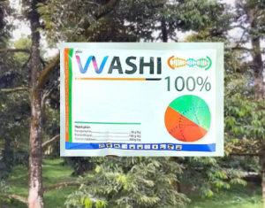 Chế phẩm sinh học WASHI Probicol 200WP – Hỗ trợ kiểm soát bệnh hại