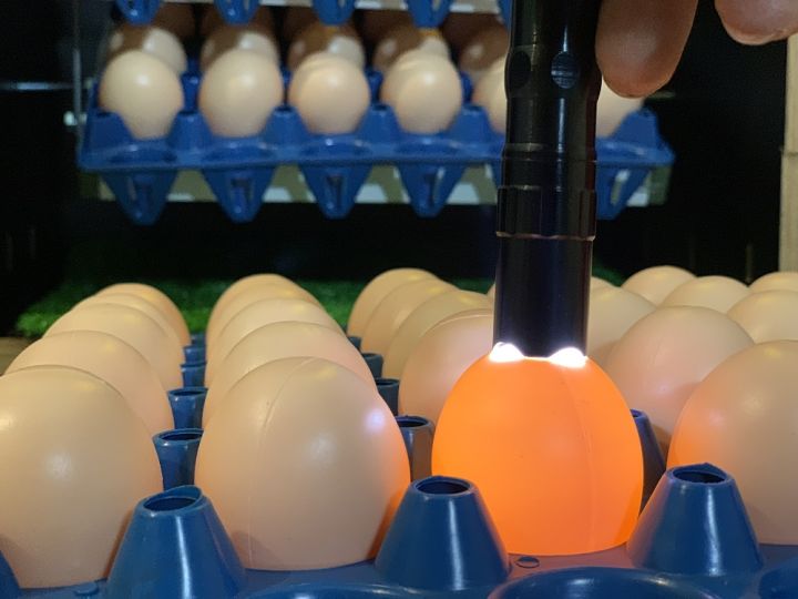 M%C3%A1y%20%E1%BA%A5p%20tr%E1%BB%A9ng%20Mic%2090%20Phun%20S%C6%B0%C6%A1ng%20T%E1%BB%B1%20%C4%90%E1%BB%99ng%20-%20Image%205