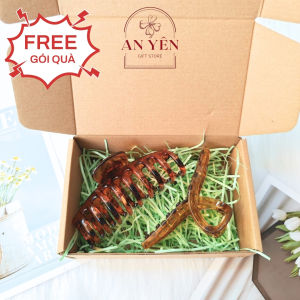 Set Quà Tặng Kẹp Tóc No.13 Tiệm Quà An Yên Tặng Sinh Nhật Người Yêu 20/10 8/3 Quà Tặng Học Viên