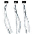 Adult Tooth Extracting Forceps Extraction Pliers Dental Instrument. 