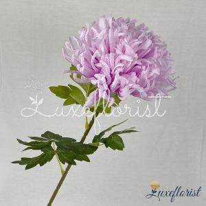 Bunga Morfilium Artificial Bunga Hias Palsu Dekorasi Pemaninan Wedding decor