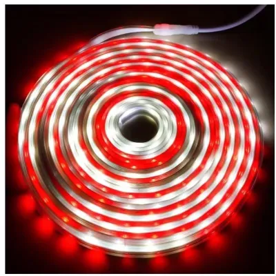 Lampu LED Strip Selang paket merah putih 220V + Adaptor 8M Outdoor Led Strip Agustus Lampu Hias