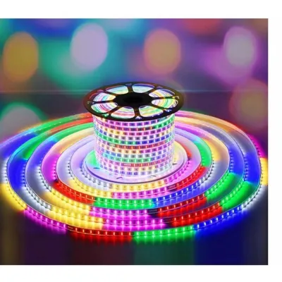 Paket Lampu LED Strip Selang RGB 2835 Outdoor 10M 15M 20M 25M 30M 220V LED RGB Waterproof