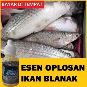 Esen Oplosan Ikan Blanak Paling Jitu Isi 30ml