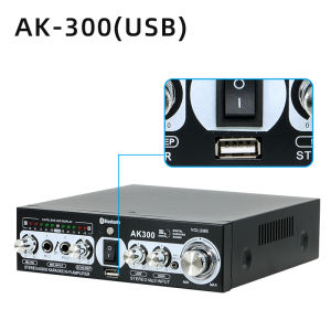 เพาเวอร์แอมป์ 12V DC 220VBluetoothสเตอริโอ บลูทูธในตัว Ak-300 เครื่องขยายเสียง เครื่องขยายเสียงโฮมเธียเตอร์โฮมคาราโอเกะ รองรับ USB FM