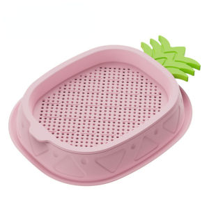 Cat Grass Seed Box Hydroponic Organic Grass Seed Cat Treat Snack Pineapple Shape Cat Grass Set