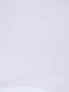 Succming  Bộ tập Pilates Yoga cho phụ nữ áo ngực thể thao chống sốc lưng chéo tập trung eo cao nâng hông bộ quần short yoga thể dục