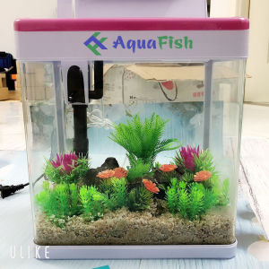 Bộ Bể Cá Bằng Kính Đúc MJ 260 Kích Thước 26*17*29cm (đã bao gồm đèn và bộ lọc)