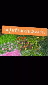 หญ้าตีนเป็ด หญ้าเทียม 40x60cm. หญ้ามิลาน ติดกำแพงสวนรั้วต้นไม้ปลอม หญ้าติดผนัง ร้านกาแฟ รั้วกำแพง