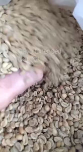 Green Bean Arabika Gayo Anaerob Natural