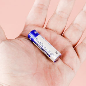 ARAFURA - Doublepow Batu Baterai AA Rechargeable NiMH 1200mAh 2 PCS