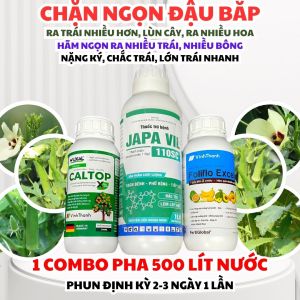 Combo Chặn Đọt Đậu Bắp – Hãm Ngọn Ra Hoa Nhiều Đậu Trái Sai | Japa Vil 110SC + Caltop Xtra + Foliflo Excellent