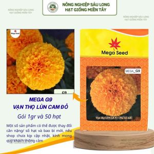 Hạt Giống Vạn Thọ F1 MEGA G9 – Cam Lùn Cổ Cứng Khỏe Bông To – Mega Seed