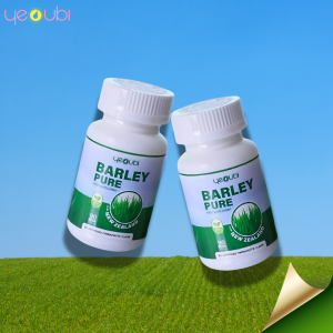 Barley Pure – Immune Support | Detox Cleanse | Cholesterol Control