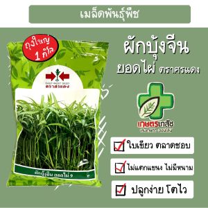 เมล็ดพันธุ์ ผักบุ้งจีน ศรแดง ยอดไผ่ 1 กิโล