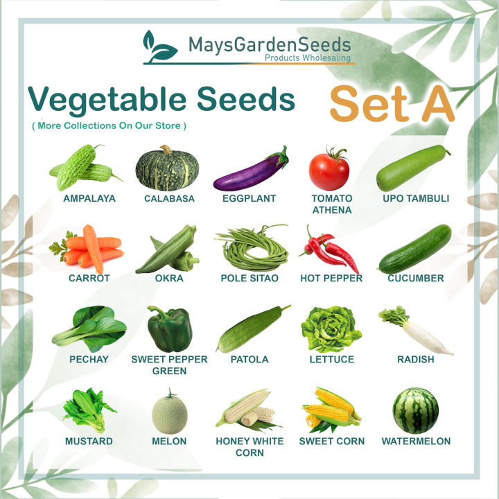 [Mays Garden Seeds] Vegetable Seeds Collection Set A, Okra, Ampalaya ...