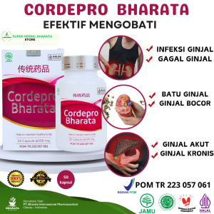 OBAT HERBAL GAGAL GINJAL INFEKSI GINJAL BATU GINJAL GINJAL BOCOR GINJAL AKUT GINJAL KRONIS AMPUH MENYEMBUHKAN