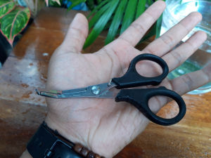 Gunting Kail Pancing