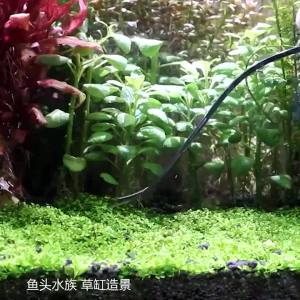 2026 Aquarium Tools Set Tweezers Plants Wave Scissors Grass Stainless Cleaning Tools Fish Tank Shovels Aquarium Accessories