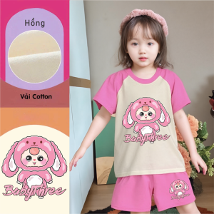 Áo Baby Three - Áo thun cho bé gái - Bộ Baby Three phối raglan màu hồng chất cotton 12-30kg