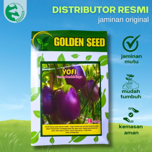 Benih Terong Pondoh Ungu YOFI 10 gram Golden Seed Unggul Panen Melimpah Tahan Penyakit Buah Lebat
