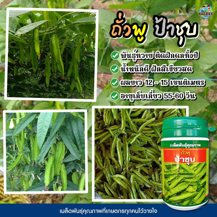 เมล็ดถั่วพู ป้าชุบ ตราเสือดาว 100 กรัม ปลูกได้ทุกฤดู