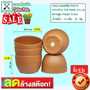 กระถาง PU010 ขนาด 2.5 นิ้ว สีอิฐ 6 ใบ กระถางกระบองเพชร กระถางปลูกต้นไม้ เนื้อพลาสติกแน่นหนาทนทาน ราคาถูก กระถางแคคตัส กระถางกระบองเพชร