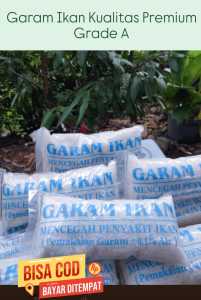 garam ikan garam krosok garam kristal grade A premium