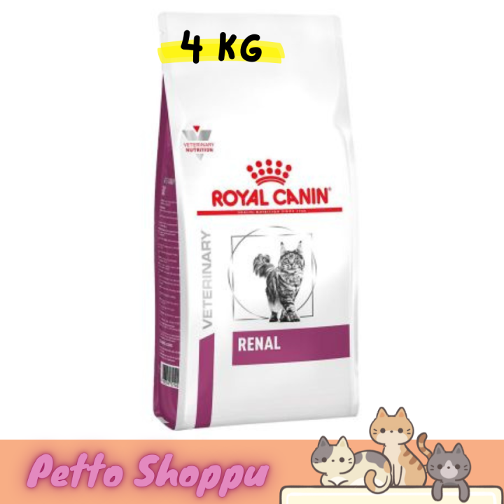 Kidney Disease Royal Canin Renal Special Cat Royal Canin Renal Cat