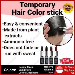 [SG Seller] Temporary Hair Color Stick 4gm Natural Plant Extracts Darken Color Dye