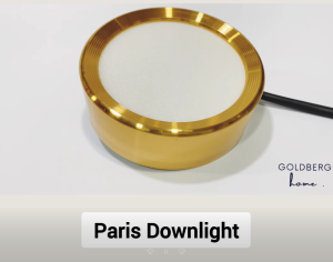 Paris Minimalist Downlight 10CM 9W - Luxe gold - Corridor Living Room Dinning Room | Goldberg Home