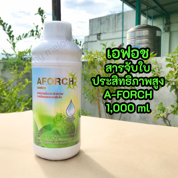 เอฟอช (A-FORCH) สารจับใบคุณภาพสูง 1,000ml ช่วยเพิ่มประสิทธิภาพการแทรก ...