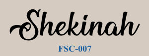 Transfer it Customized/Personalized Engraved Wooden Comb w/ Name Design