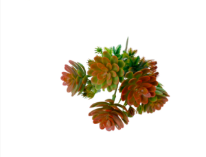 Cụm hoa sen đá giả siêu đẹp giống thật 99% - Cây giả hoa lụa Decor trang trí nhà cửa