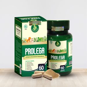 Prolega Untuk Sesak Nafas Obat Asma Herbal Isi 60 Kapsul Ekstrak Original Pelega Tenggorokan