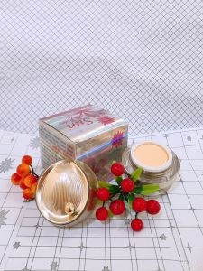 [Chính Hãng] Kem Nám Tàn Nhang Đồi Mồi Phục Hồi Da Đa Chức Năng Sun Today 18in1(35g)