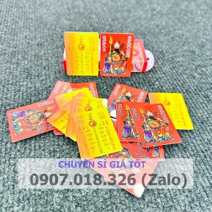 [SẴN HÀNG] KIM BÀI THÁI TUẾ 2025 CHO 4 TUỔI TỴ - HỢI - DẦN THÂN [bằng plastic]