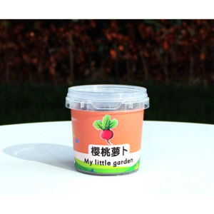 My Little Garden Children Planting Kit Potted Mini Plant Growth Sprouting Seed Box for Kids Gardening Fun