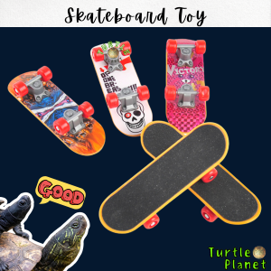 Parrot Turtle Skatebaord Pet Training Funny Intelligence Parrot Turtle Training Tool Toy