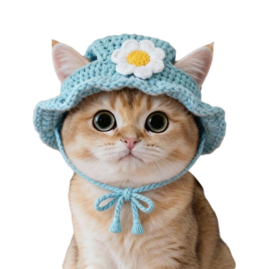 FLYING Handmade Cat Hat Refined Elastic Funny Puppy Kittens Knitted Hat Fashion Photo Shoot Props Pet Hat Pet
